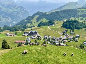 Bild 10_12ktz9ojsbaxz.jpg